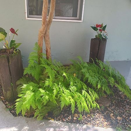Pousada Nova Primavera Ubatuba Exterior foto